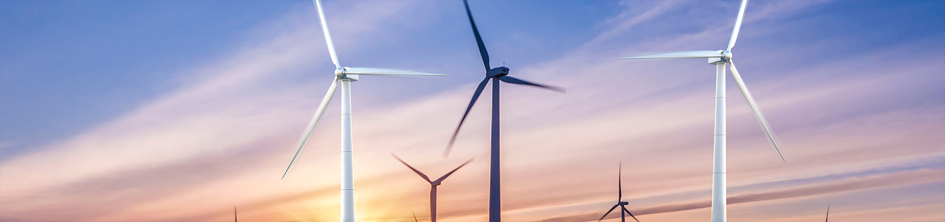 新利luck18(中国)体育·官方网站